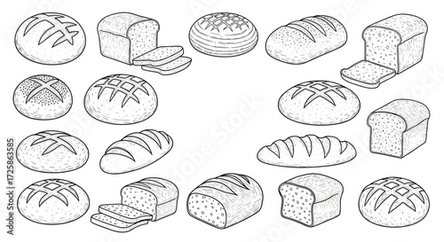A collection of various types of bread artfully illustrated.