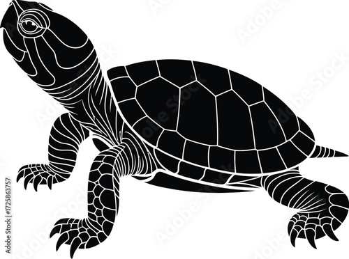 A monochrome illustration depicts a side profile of a small turtle