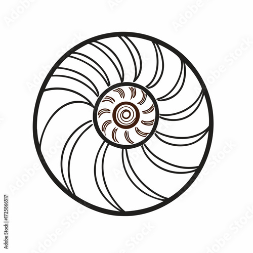 Stylized Nautilus Shell Spiral Pattern Isolated on White Background vector illustration