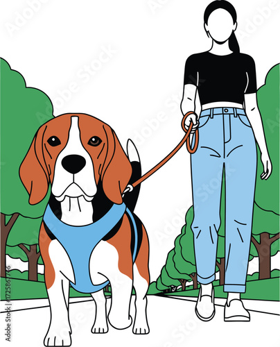 Woman walking a beagle dog on a leash in a park.