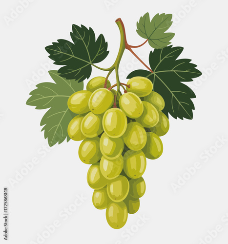 bunch of grapes