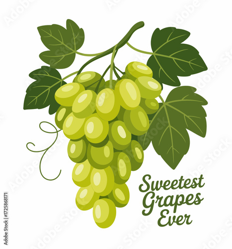 bunch of grapes