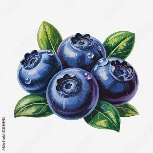 blueberries with leaves