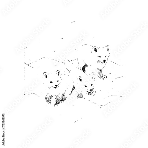 Three arctic fox cubs illustration drawing black and white wildlife animal nature cute baby foxes winter scene art
