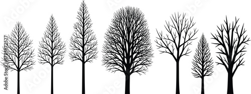 A collection of diverse bare trees in silhouette against a white background, showcasing various shapes and sizes.