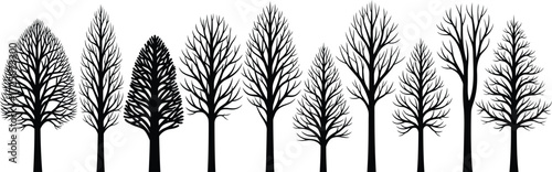 Black and white illustration of a row of bare trees with detailed branches and trunks against a white background.