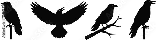 Silhouettes of various crows and ravens in different poses, including flying and perched on branches and posts.