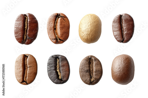 Wallpaper Mural Variety of coffee beans on black background display different roasts and colors, cut out Torontodigital.ca
