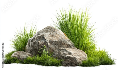 Gray rock and lush green grass