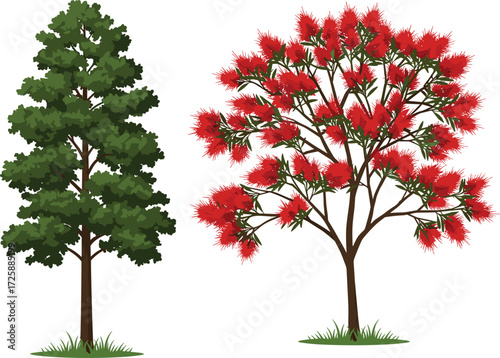 Tree comparison illustration, green foliage and red flower trees side by side with grassy base, cad drawing flat vector illustration