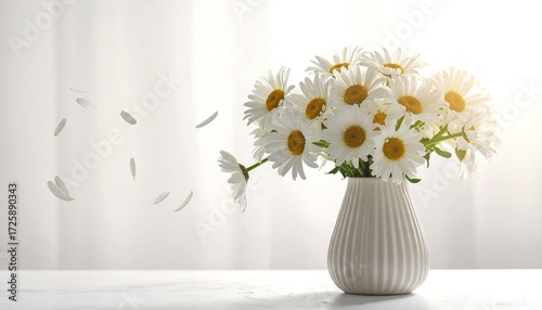 Daisies in a vase, sunlight