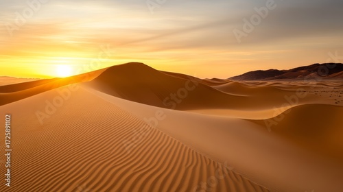 Fototapeta Naklejka Na Ścianę i Meble -  Golden sunset over shimmering sand dunes desert landscape nature photography tranquil environment serene viewpoint natural beauty