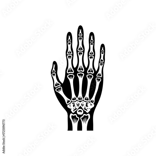 Silhouette of a human hand with bones showing, symbolizing anatomy, x-ray imaging, and medical science.
