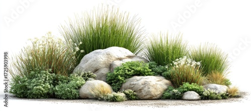 Landscape design with various grasses and small plants nestled amongst large rocks