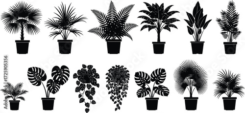 Potted plant silhouette collection, black vector clipart, indoor foliage icons, houseplant design elements, botanical illustration, leaf shape set