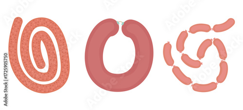 Set of traditional Swedish sausages - hand drawn vector illustration.