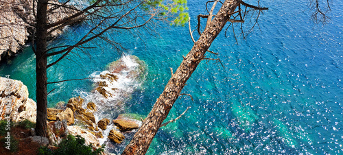 Scenic view from above of a rocky sea coast with turquoise waves crashing against the shore, framed by pine trees and branches, creating a serene Mediterranean atmosphere.