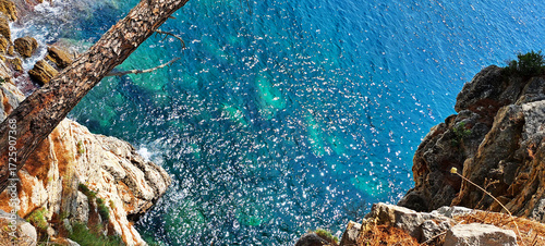 Scenic view from above of a rocky sea coast with turquoise waves crashing against the shore, framed by pine trees and branches, creating a serene Mediterranean atmosphere.