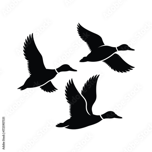 Three black silhouettes of ducks flying in formation