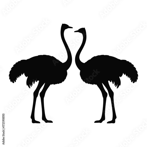 Two ostriches silhouetted together forming a heart shape