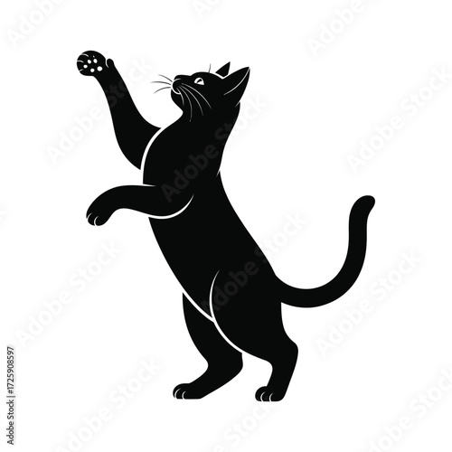 Black cat reaching upwards with playful pose