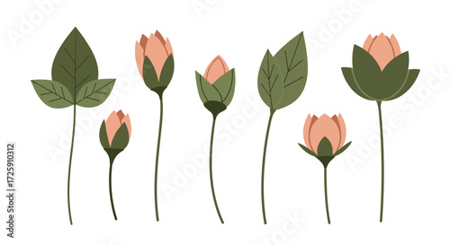 A collection of unopened flower buds with green leaves on thin stems.