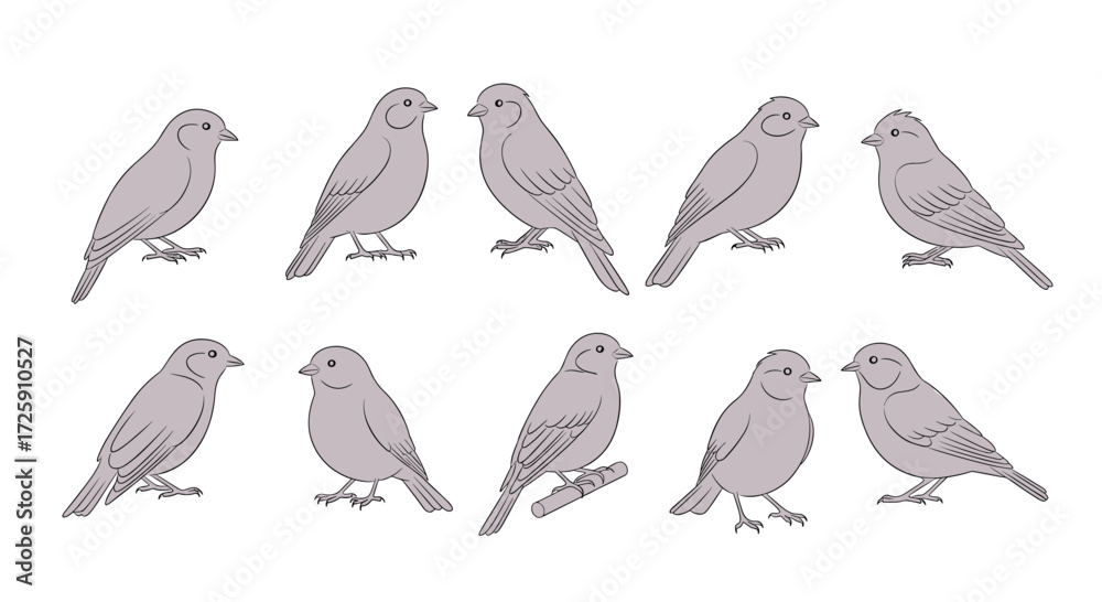 Obraz premium A beautiful collection of ten small gray birds perched and looking attentively.