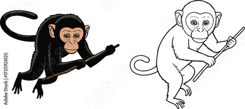 Monkey coloring page, black and white outline, animal illustration, educational art, children activity, vector drawing, crouching monkey, holding stick, primate sketch