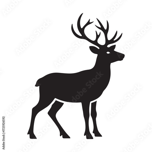 Blank White Background for Graphic Design and Web Design Projects