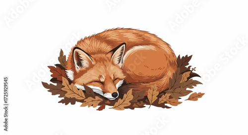 World animal day  sleeping fox illustration curled up in autumn leaves wildlife animal drawing nature art print home decor design vector