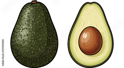 Illustration of a whole avocado and a halved avocado with its pit, isolated on a white background.