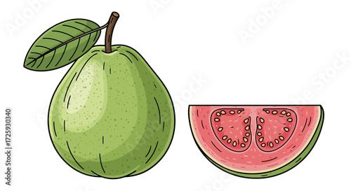 Illustration of a whole guava fruit with a leaf and a halved guava showing the pink flesh and seeds.