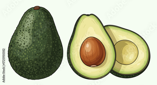 Illustration depicts a whole avocado and two halves, one with a seed.