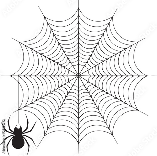 A detailed macro vector illustration of an arachnid's spiderweb trap with glistening dew drops and intricate net pattern