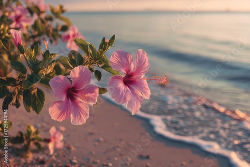 Pink hibiscus flowers bloom on a tropical beach at sunset with gentle waves