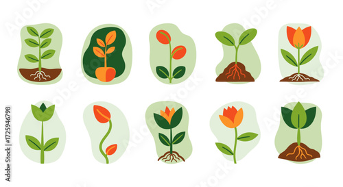 Collection of Abstract Plants and Flowers with Roots Growing From the Soil in Various Artistic Styles Ideal for Educational or Decorative Purposes