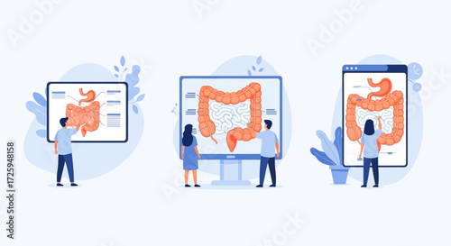 Exploring the Human Digestive System Anatomy and Function with Educational Diagrams and Visual Aids