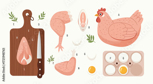 A Colorful Illustration Depicting Chicken Parts and Eggs Prepared for Cooking and Eating