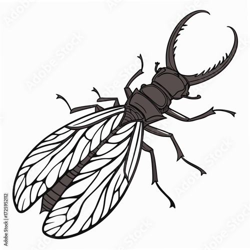 Stag Beetle Illustration With Large Mandibles and Detailed Wings insect arthropod