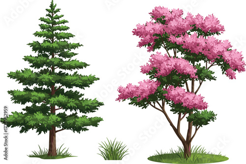 Evergreen conifer tree and pink blossom tree illustration, seasonal foliage design, vector nature artwork, isolated botanical element, outdoor landscape, environmental concept graphic
