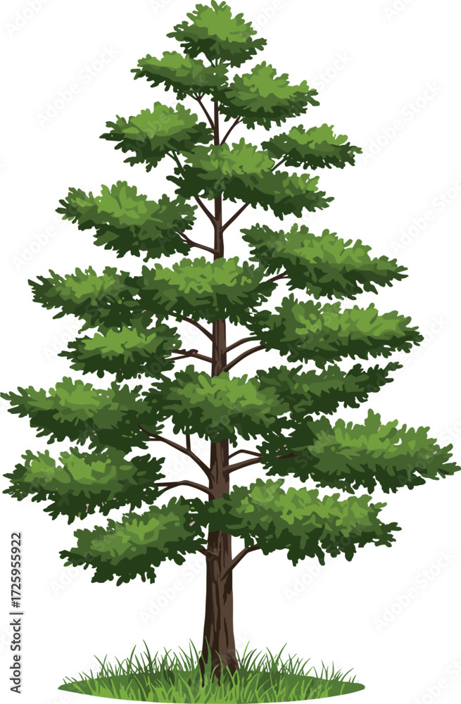 Naklejka premium Green pine tree illustration, conifer evergreen with foliage, botanical vector design, outdoor landscape element, seasonal nature artwork, environmental forestry concept