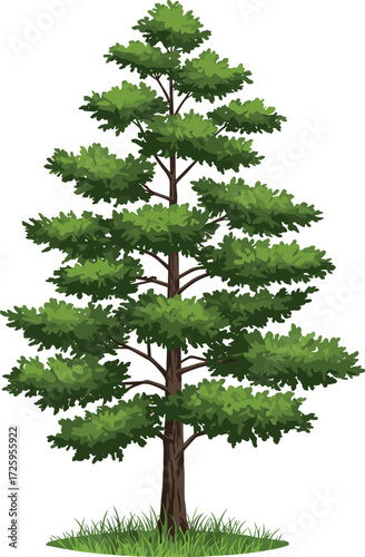 Green pine tree illustration, conifer evergreen with foliage, botanical vector design, outdoor landscape element, seasonal nature artwork, environmental forestry concept
