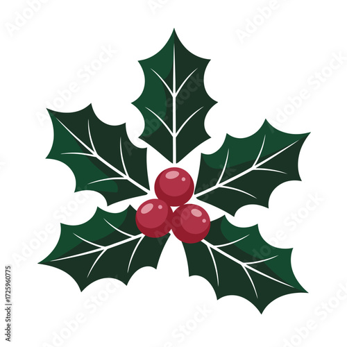 Holly leaves and berries christmas winter