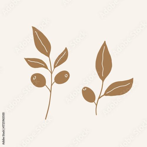 Silhouette of Coffee plant branch. Hand drawn sketch with tropical shrub with leaf, beans. Java icons for label, cafe, packing, wrapping, card. Food and drink. Botanical vector isolated illustration