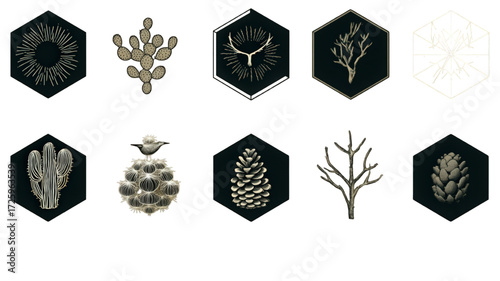 Set of modern nature icons with plants and antlers.