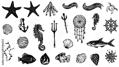 Set of Hand Drawn Marine Life and Nautical Symbol Illustrations.