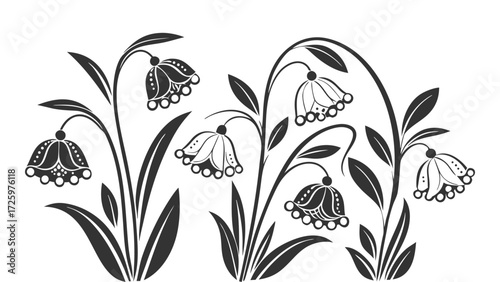 Elegant black and white illustration of blooming fritillaria flowers with delicate bell shaped blossoms and slender leaves