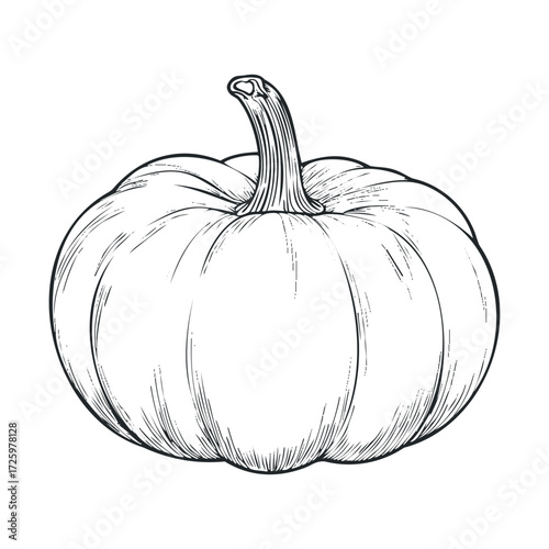 Detailed sketch of a pumpkin for seasonal decoration or design. Vector black icon