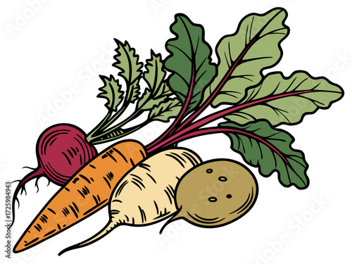 Bunch of root vegetables including carrot, beet, and turnip  