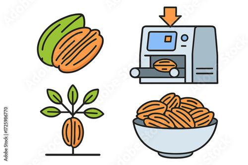 Visual representation of cacao beans, processing, and final products in an illustrative design